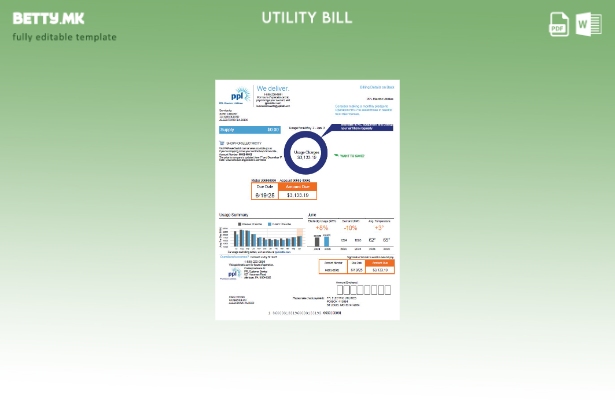 Модерен стил USA PPL Шаблон верзија на сметки за електрична енергија
