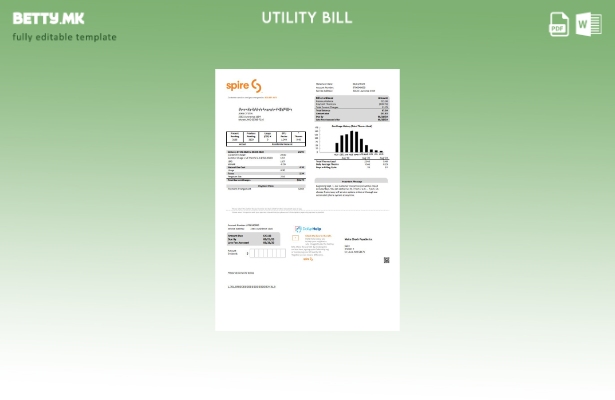 Модерен стил USA Spire шаблон за комунални сметки за гас