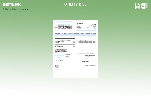 Модерен стил, шаблон за збор за сметки за комунални услуги во САД Јангстаун