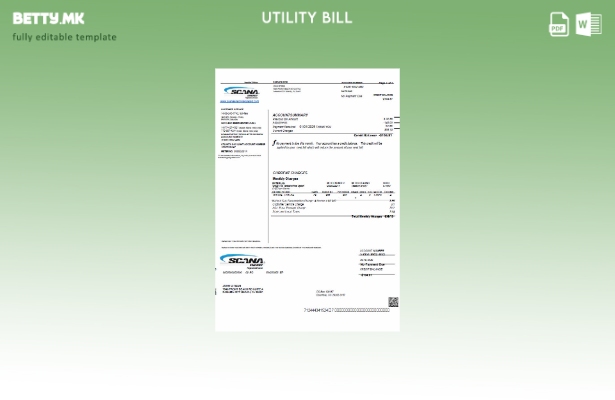 Модерен стил, шаблон за сметки за енергетски услуги во САД Scana