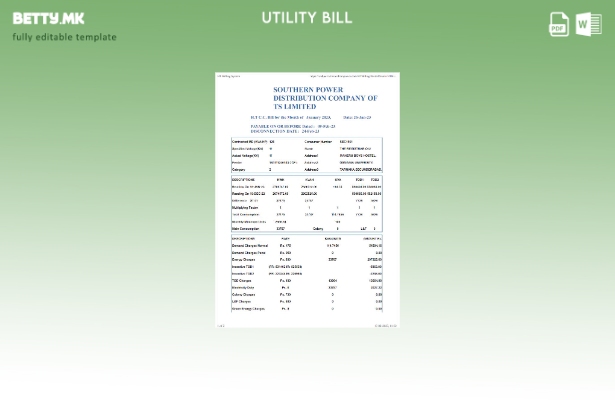 Модерен стил, шаблон за сметки за комунални услуги во Индија јужна електрична ен