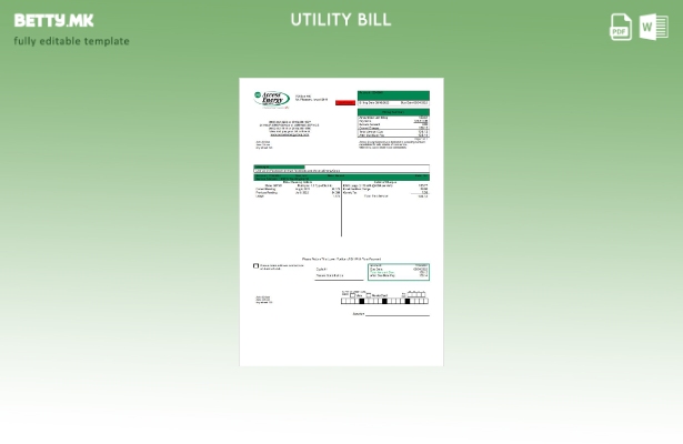 Модерен стил, шаблон за сметки за комунални услуги на USA Iowa Access Energy Coo