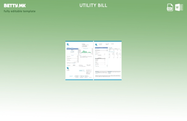 Страници со сметки за електрична енергија во модерен стил на САД FPL, шаблон за