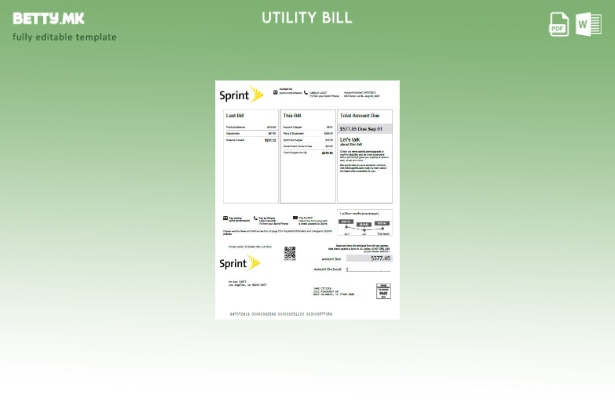Шаблон за верзија на сметки за комунални услуги во модерен стил на САД Спринт 1