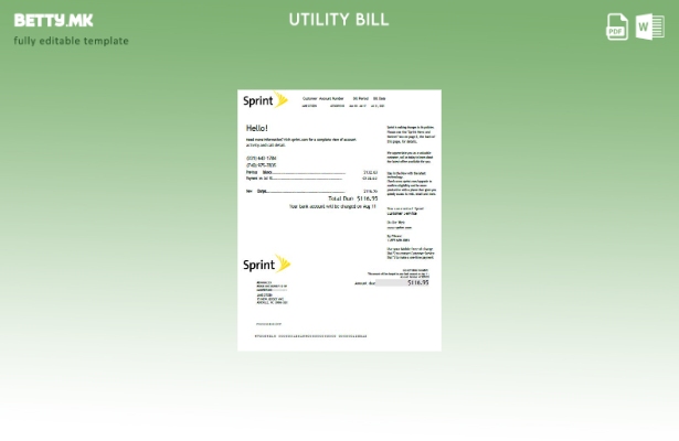 Шаблон за верзија на сметки за комунални услуги во модерен стил на САД Спринт