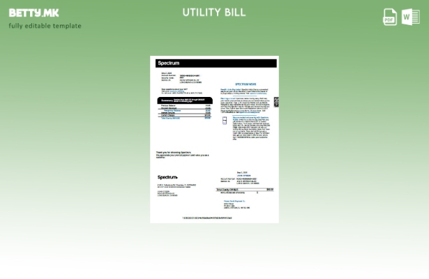 Шаблон за верзија на сметки за комунални услуги во модерен стил USA Spectrum