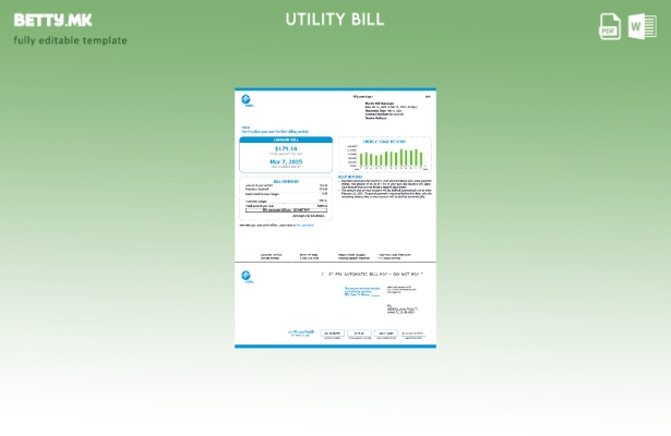 Шаблон за верзија на сметки за комунални услуги на САД FPL во модерен стил 4