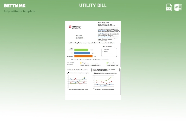 Шаблон за комунални сметки во модерен стил на САД Минесота Xcel Energy