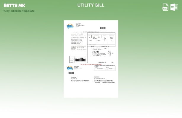 Шаблон за комунални сметки во модерен стил на САД Флорида Seco Energy