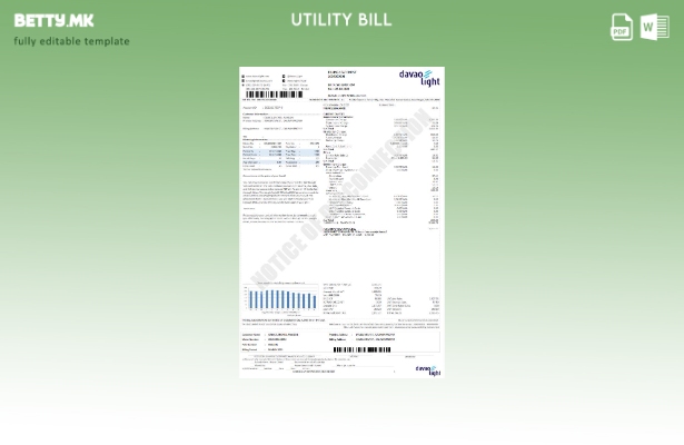 Шаблон за комунални сметки во модерен стил на САД Davao Light