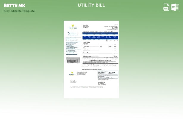 Шаблон за комунални сметки во модерен стил на САД Texas TriEagle