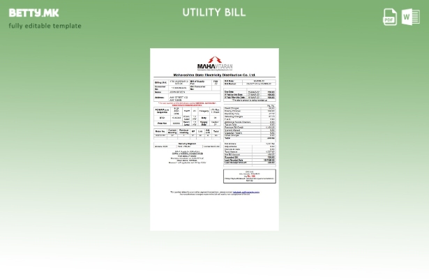 Шаблон за комунални сметки во модерен стил India Mahavitaran Co Ltd