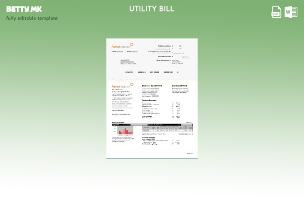 Шаблон за комунални сметки во модерен стил USA Ambit Energy