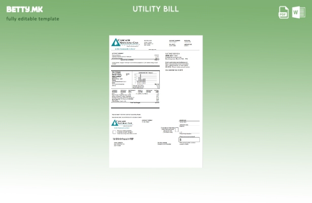 Шаблон за комунални сметки со модерен стил на САД Каскада природен гас