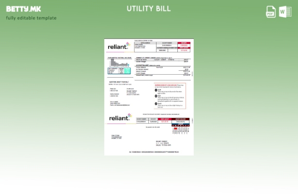 Шаблон за комунални сметки со модерен стил USA Reliant Energy