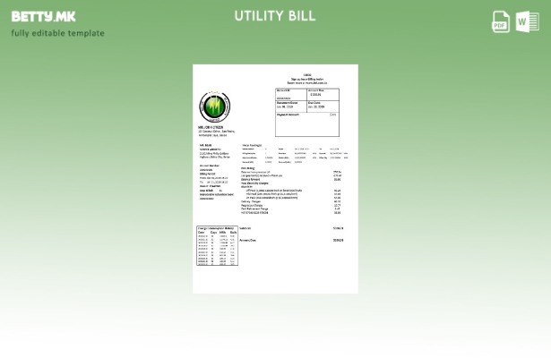 модерен стил Белизе Electricity Limited шаблон за сметки за електрична енергија