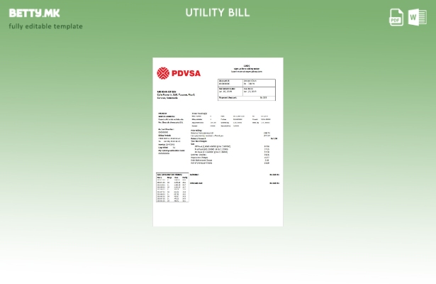 модерен стил Венецуела PDVSA шаблон за комунални сметки за гас