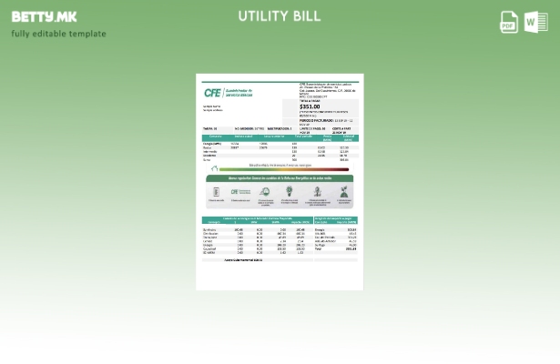 модерен стил Мексико за електрична енергија CFE шаблон за комунални сметки