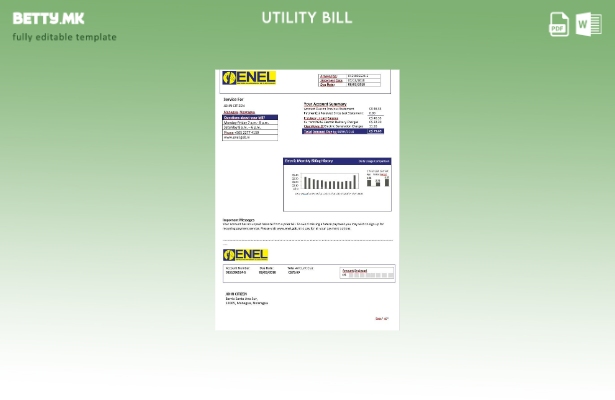модерен стил Никарагва Никарагва компанија за електрична енергија ENEL шаблон за