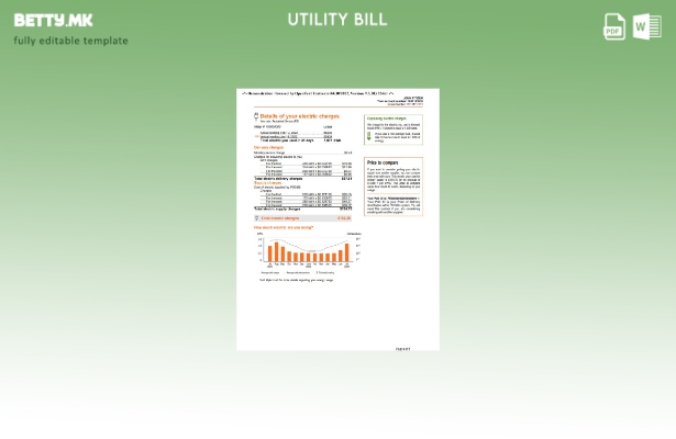 модерен стил САД Њу Јорк PSEG сметка за комунални услуги, шаблон Word и PDF, ш 1