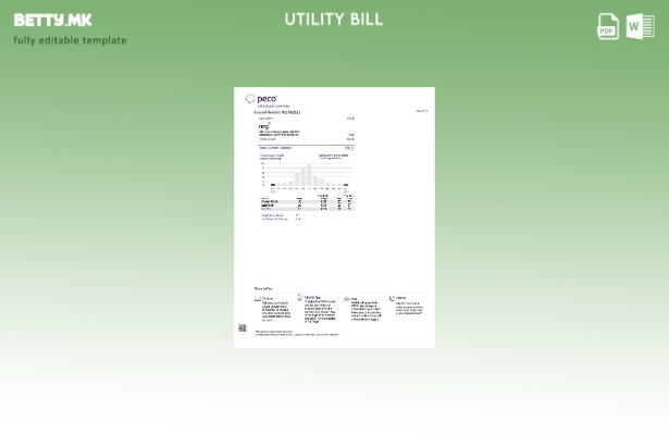 модерен стил САД Пенсилванија PECO сметки за електрична и гасна комунални услуги