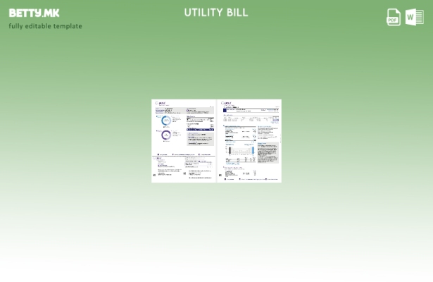 модерен стил САД Пенсилванија PECO сметки за електрична и гасна комунални услу 1