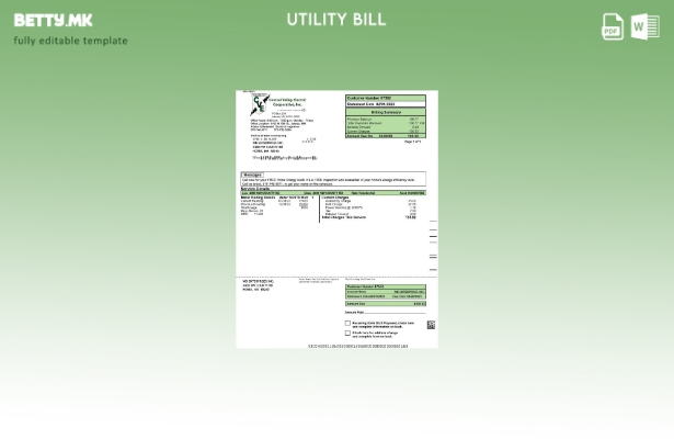 модерен стил САД Central Valley ELECTRIC шаблон сметки за комунални услуги