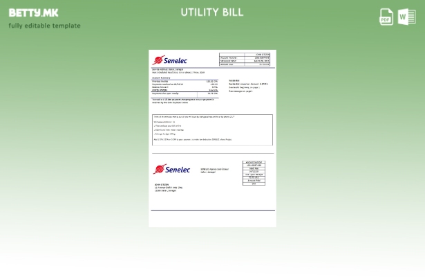 модерен стил Сенегал Сенелек Agence Sacré Coeur Company Шаблон за сметки за кому