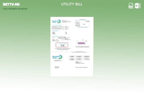 модерен стил УСА Woodlands Water шаблон збор за сметка за комунални услуги