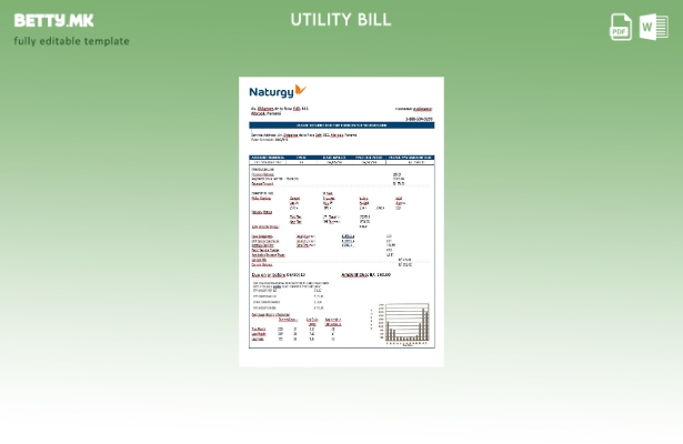 модерен стил Шаблон за комунални сметки од компанијата за електрична енергија Па