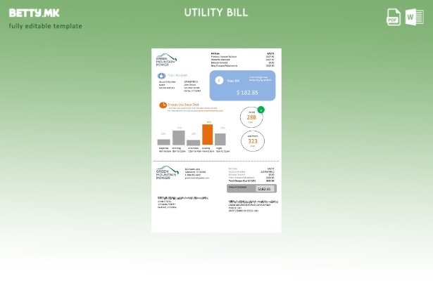 модерен стил на САД Вермонт Грин Маунт Пауер шаблон за сметки за комунални услуг